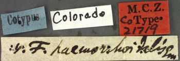 Media type: image;   Entomology 21719 Aspect: labels